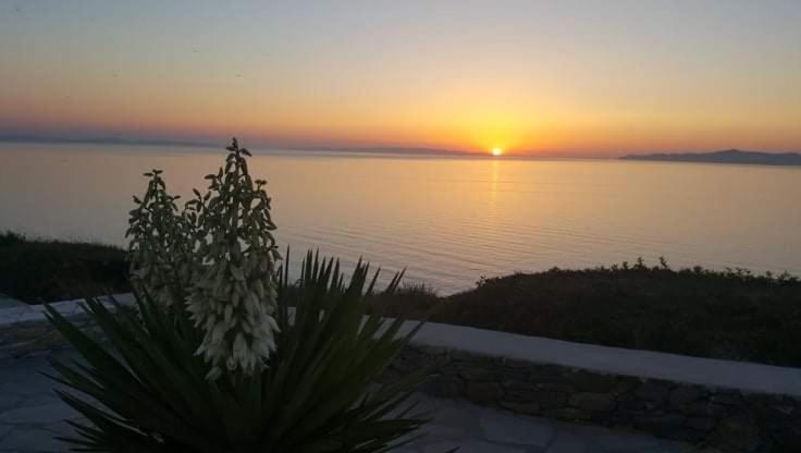 Syros Apartments Suites Chryssonisos Kini エクステリア 写真